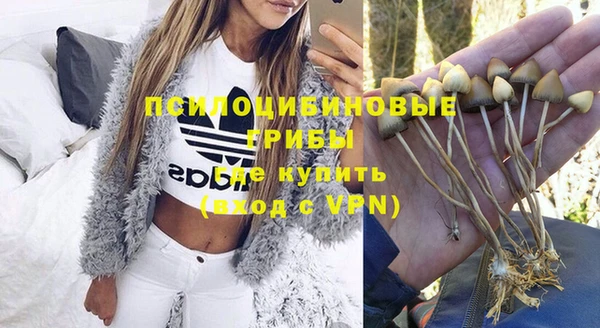 соль курить ск Михайловка