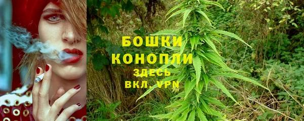 PSILOCYBIN Армянск