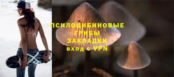 стафф Арсеньев