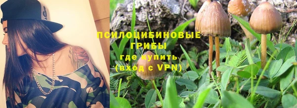 PSILOCYBIN Армянск