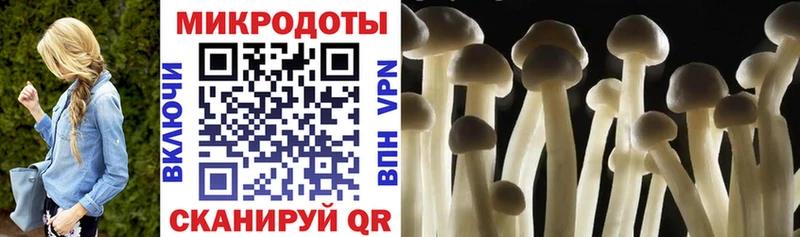 даркнет сайт  Моздок  Галлюциногенные грибы GOLDEN TEACHER 