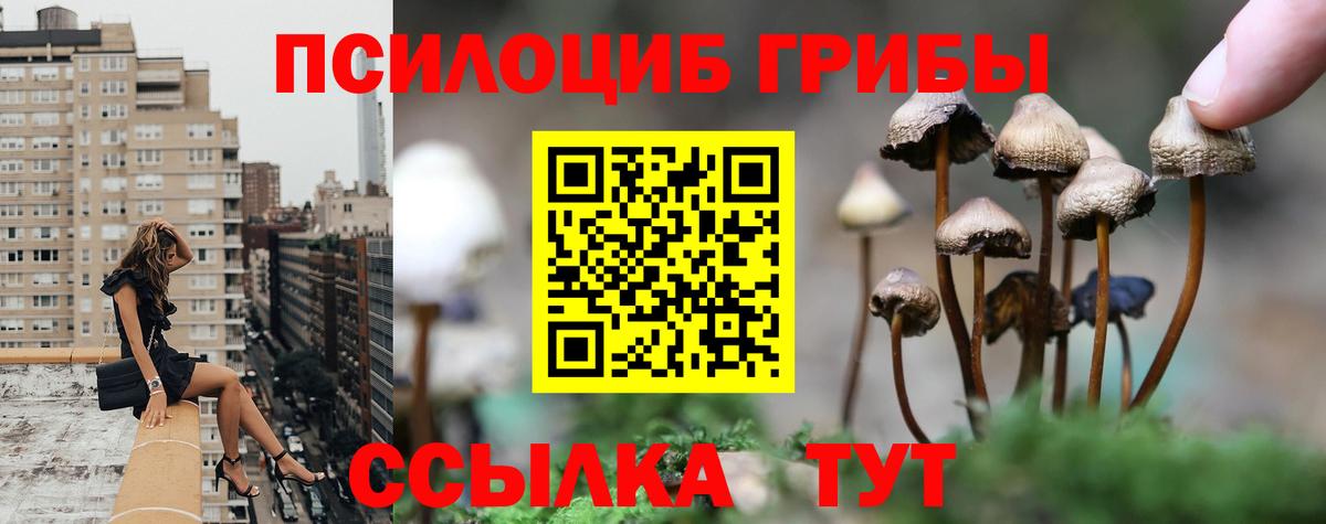 Псилоцибиновые грибы Magic Shrooms  Вход с VPN  Моздок  Псилоцибиновые грибы Magic Shrooms 